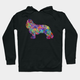 cavalier king charles spaniel dog Hoodie